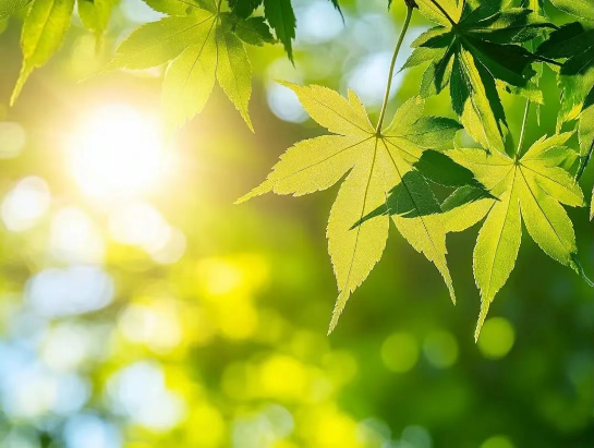 巨人配资 【科普】不容小觑的虫子——昆虫性皮肤病解析与防治