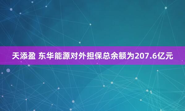 天添盈 东华能源对外担保总余额为207.6亿元