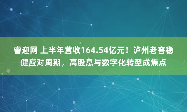 睿迎网 上半年营收164.54亿元！泸州老窖稳健应对周期，高股息与数字化转型成焦点