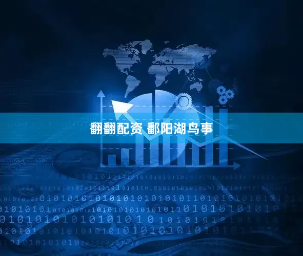 翻翻配资 鄱阳湖鸟事
