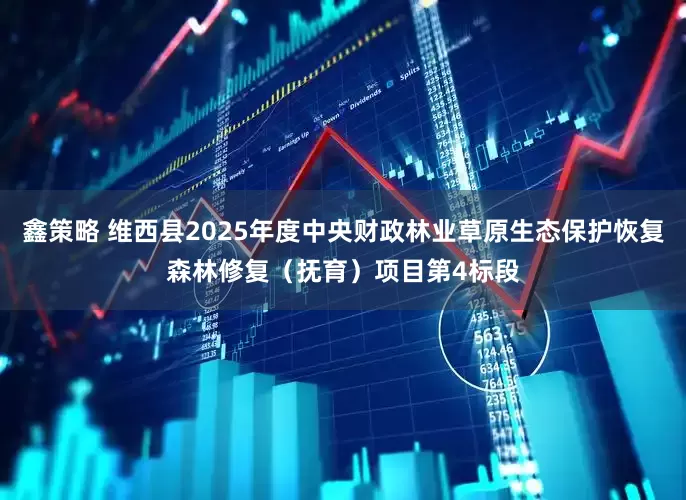 鑫策略 维西县2025年度中央财政林业草原生态保护恢复森林修复（抚育）项目第4标段